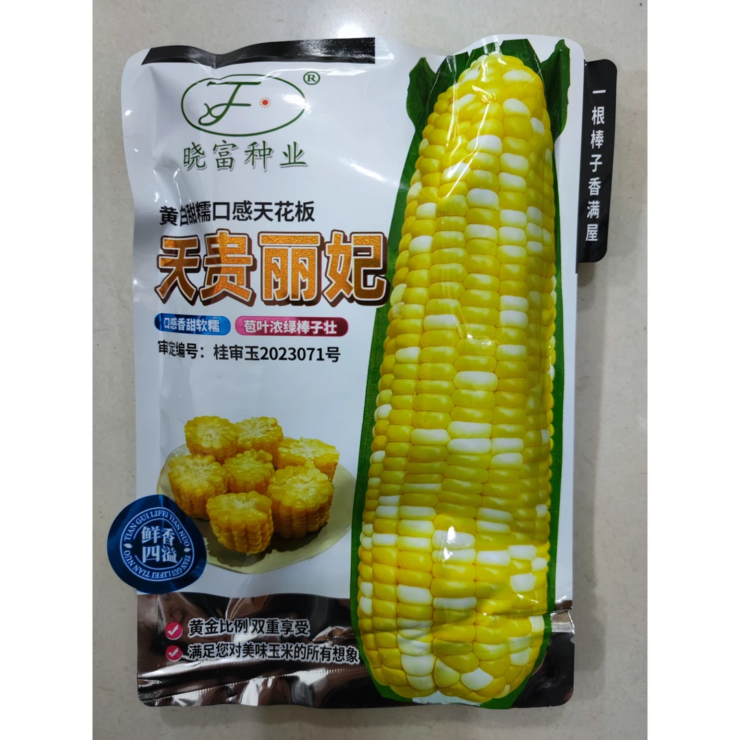 天贵丽妃黄白甜糯鲜食玉米种子软糯香甜绿皮大棒高产早熟甜度高