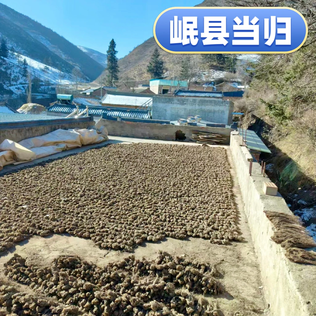 正宗甘肃岷县药当归滋补养生药食同源