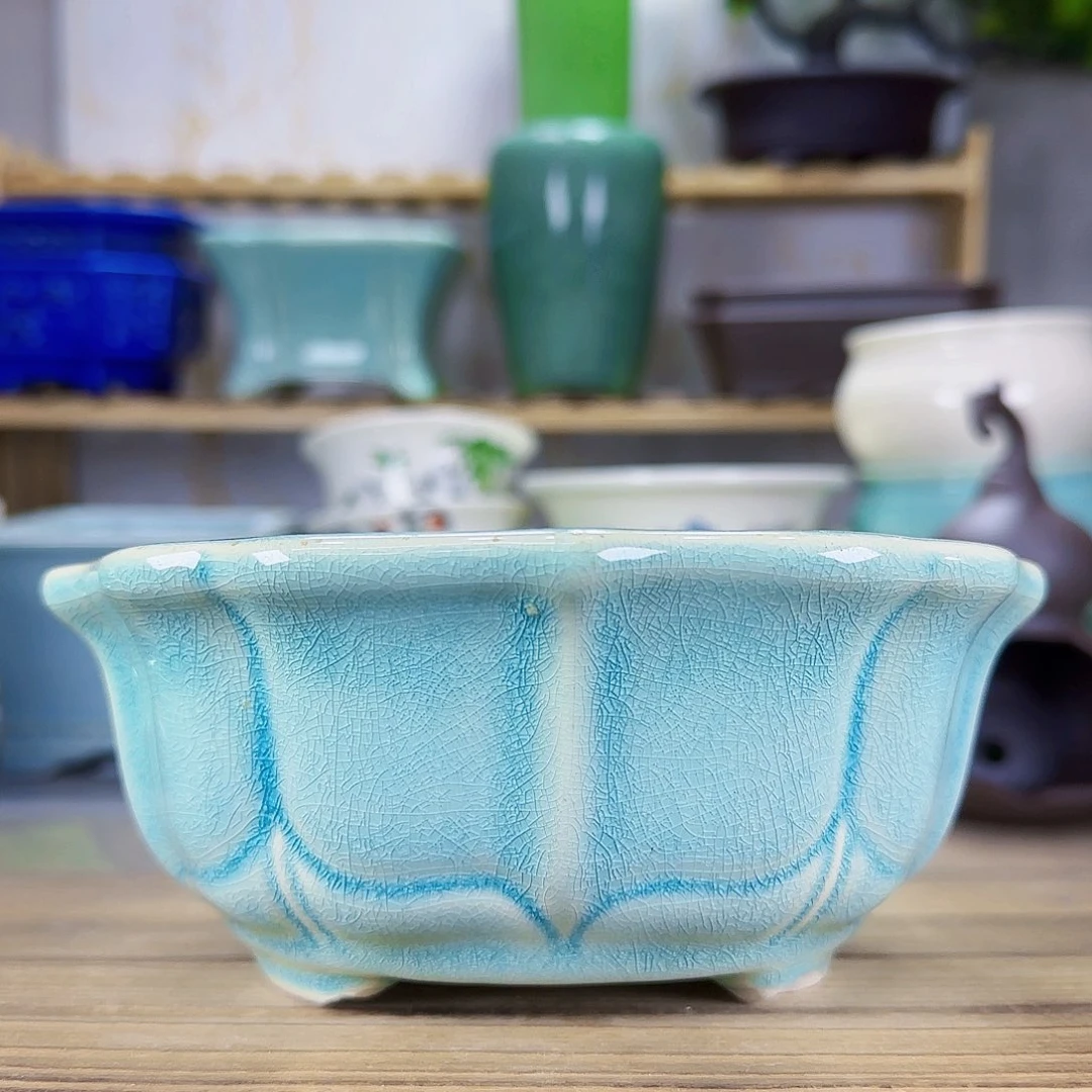 陶瓷花盆特价上新