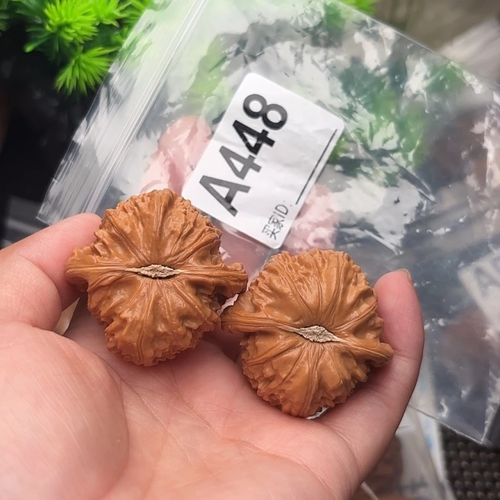 把件桃核核桃白狮子42
