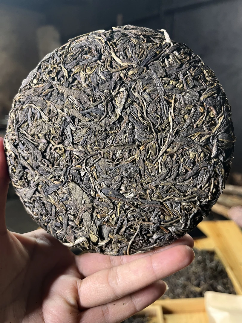【正气塘】2024古树头春200g 饼 【云姐推荐好茶】