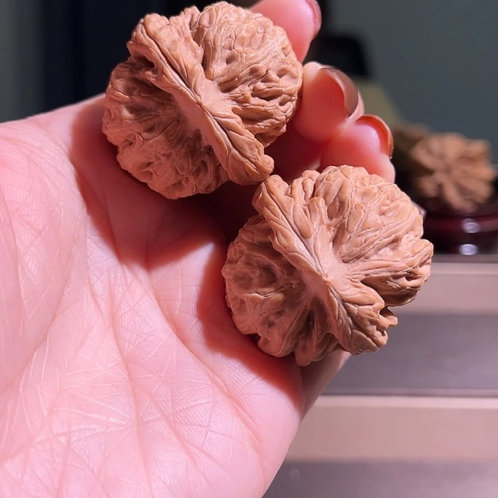 核桃红锦鲤全品无休