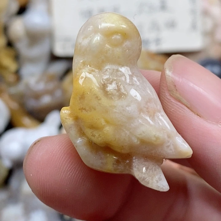 颈饰未镶嵌硅化珊瑚（珊瑚玉）小