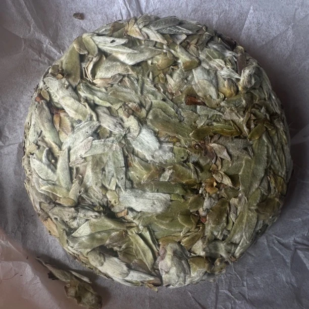 云南25头春野茶《雪芽苞饼》