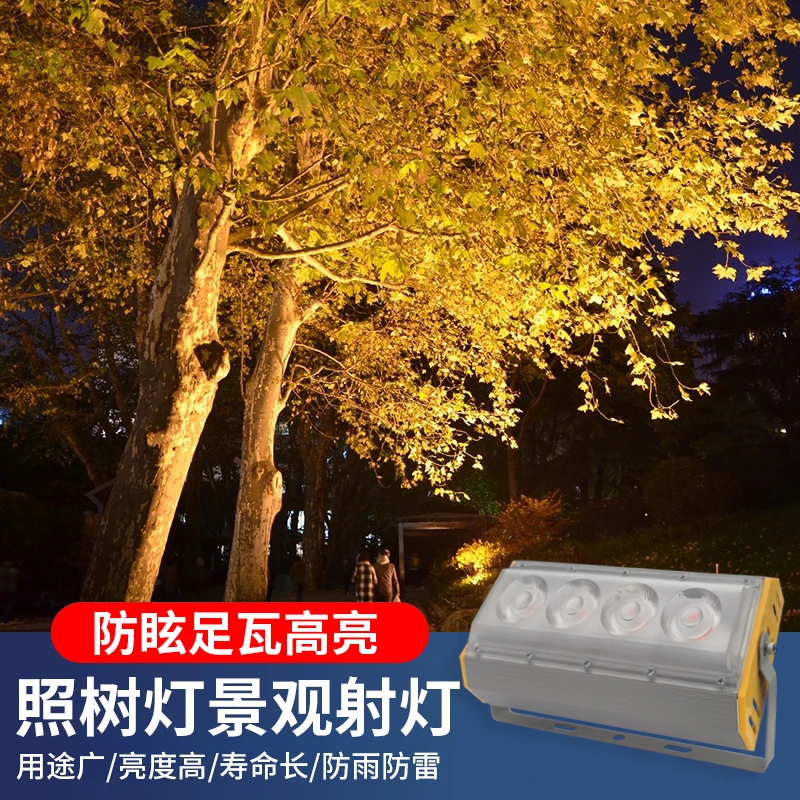 LED户外防水投光灯泛光灯照明灯四眼庭院工厂房外墙广告聚光射灯