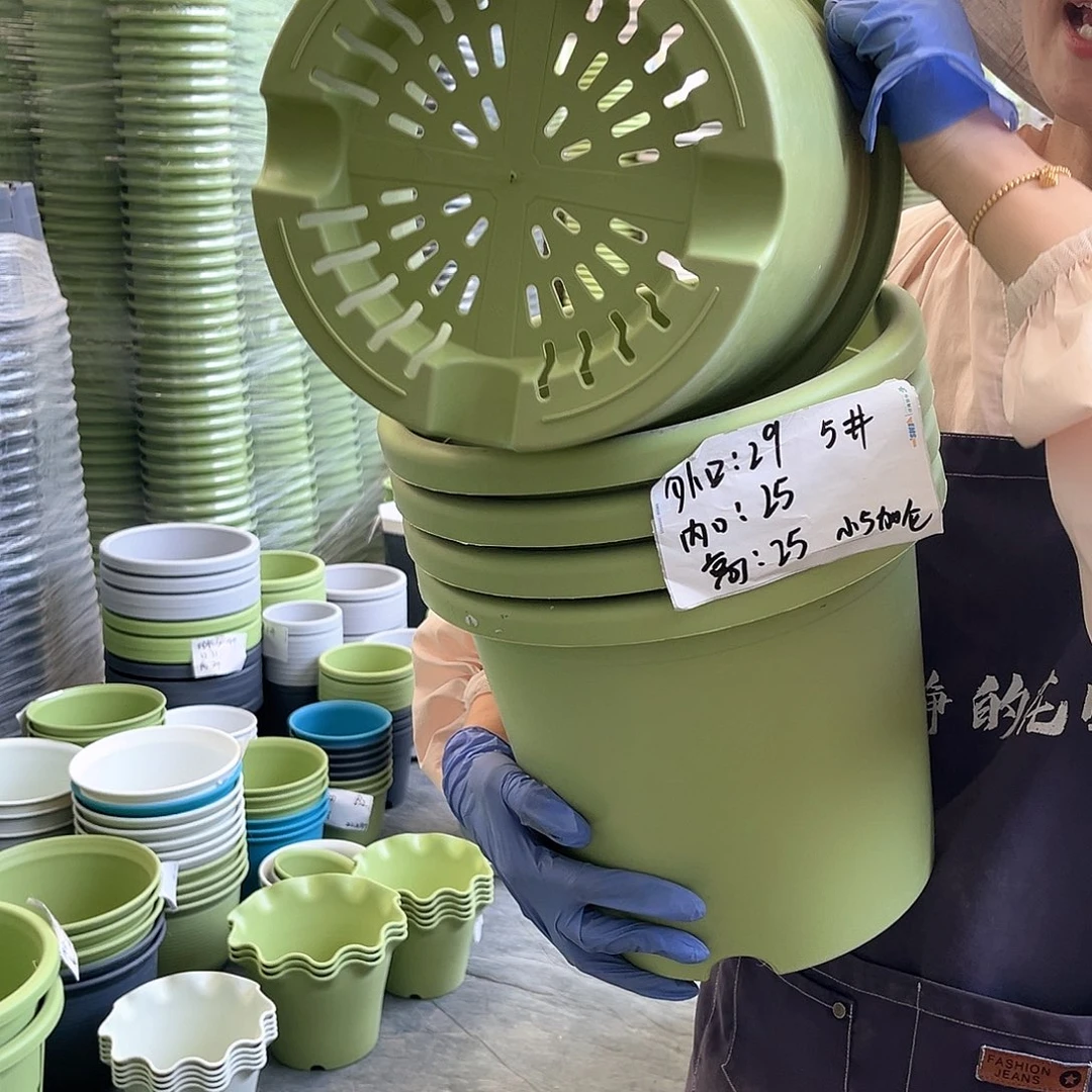 四季盆5#果绿色6个无托