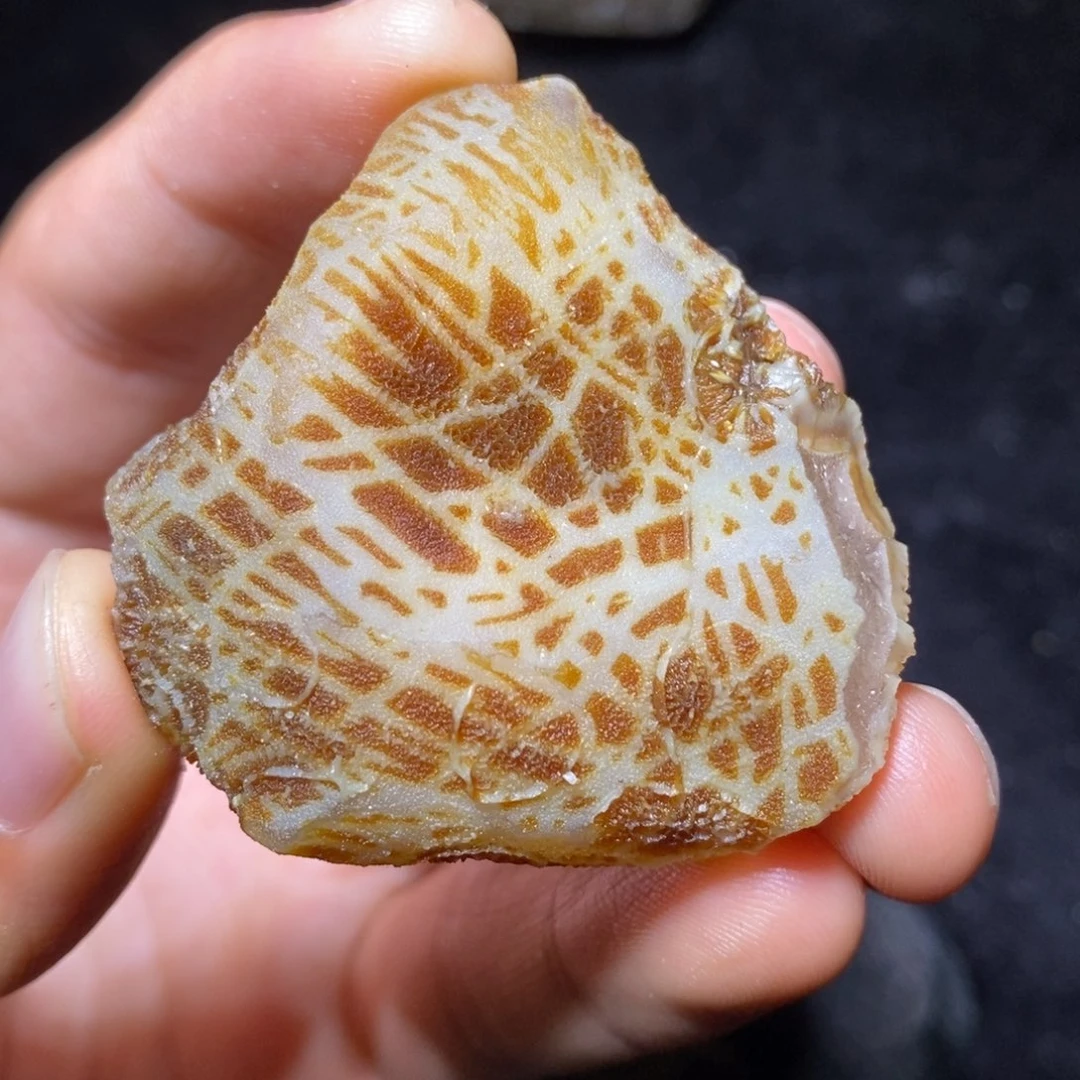 石材天然黑山筋脉