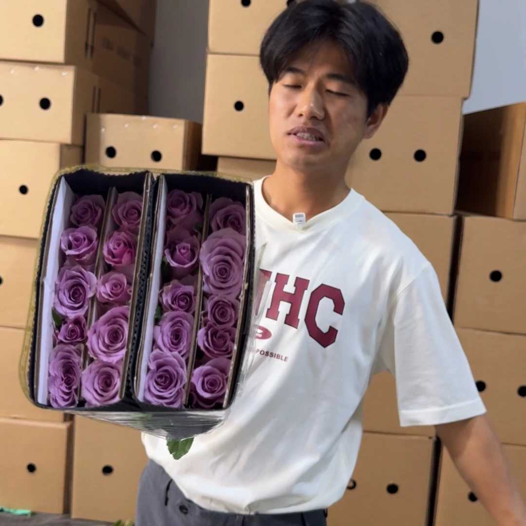 紫霞仙子8扎包邮价秒杀