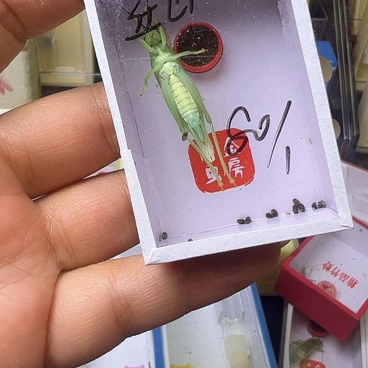 丘***亮哈哈哈哈哈哈哈哈哈哈哈