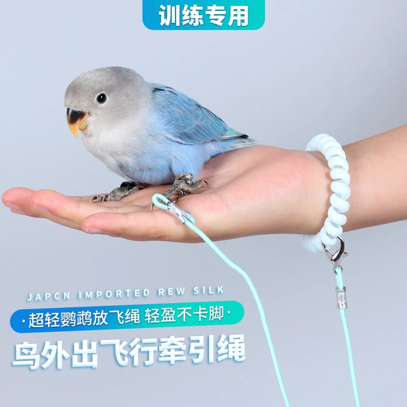 鹦鹉放飞绳不伤脚超轻训练绳虎皮玄凤牡丹脚环脚链脖套遛鸟飞行绳