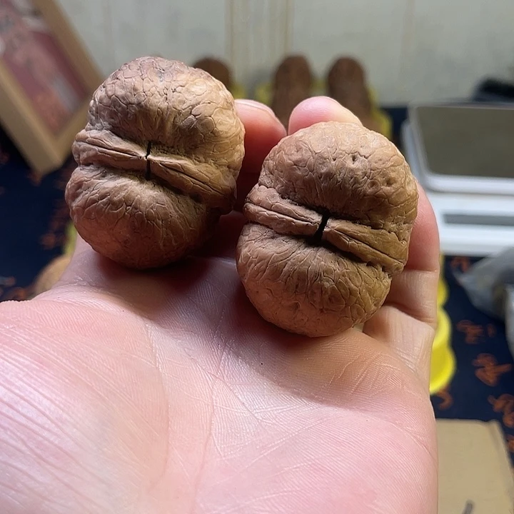 文玩核桃把件9炸二粗钱罐46