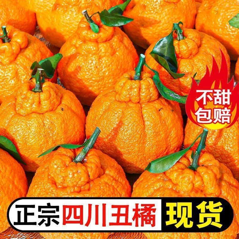 四川正宗眉山丑橘不知火 脆甜多汁