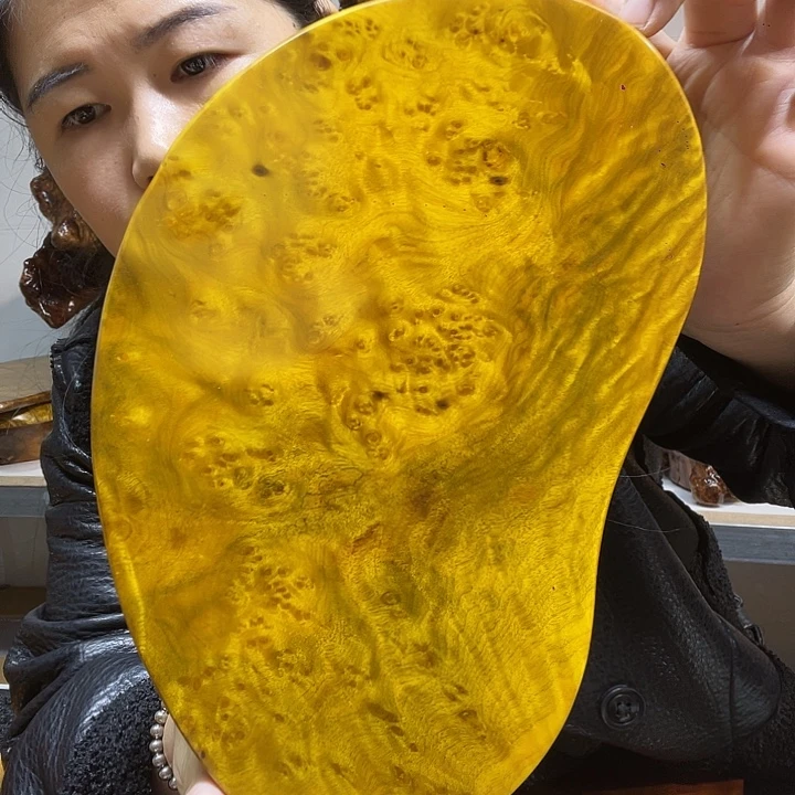 @***锅黄金樟黄金樟干泡