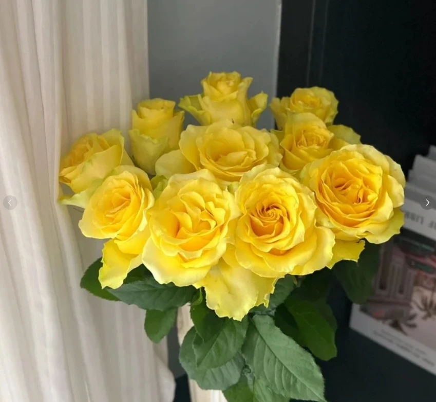 【新疆花之溪】浪漫沙滩玫瑰