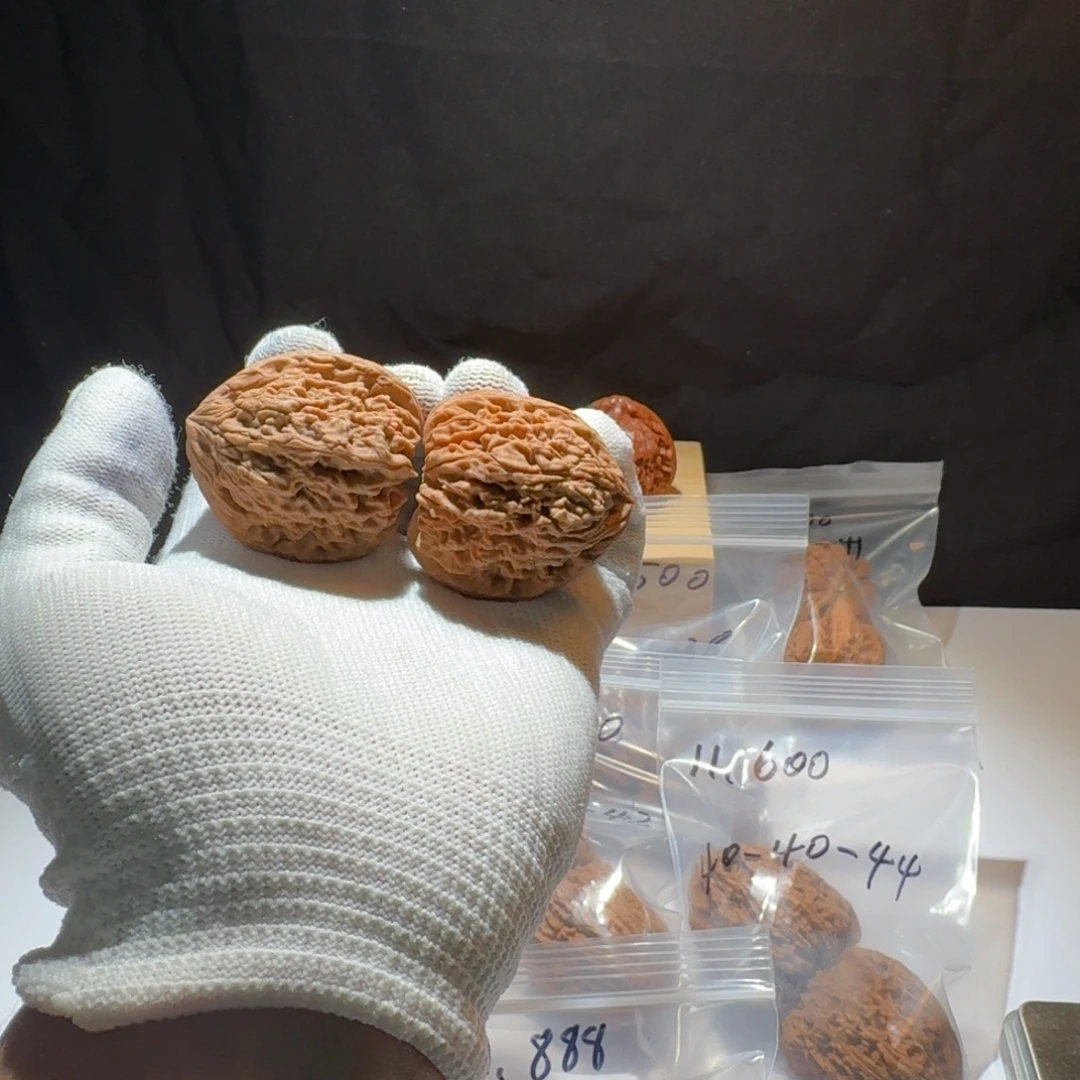 把件文玩核桃17号链接40高炮菊花低