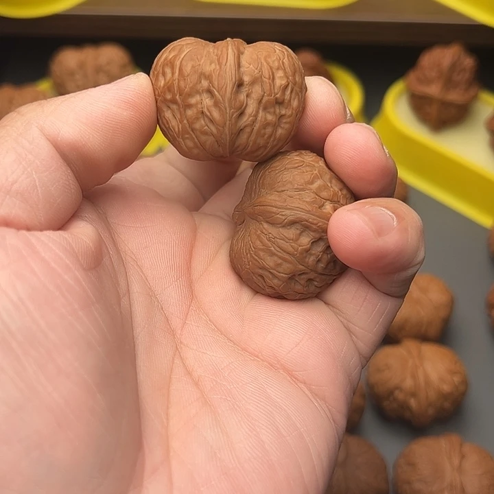 核桃36比精配复刻毕业元宝