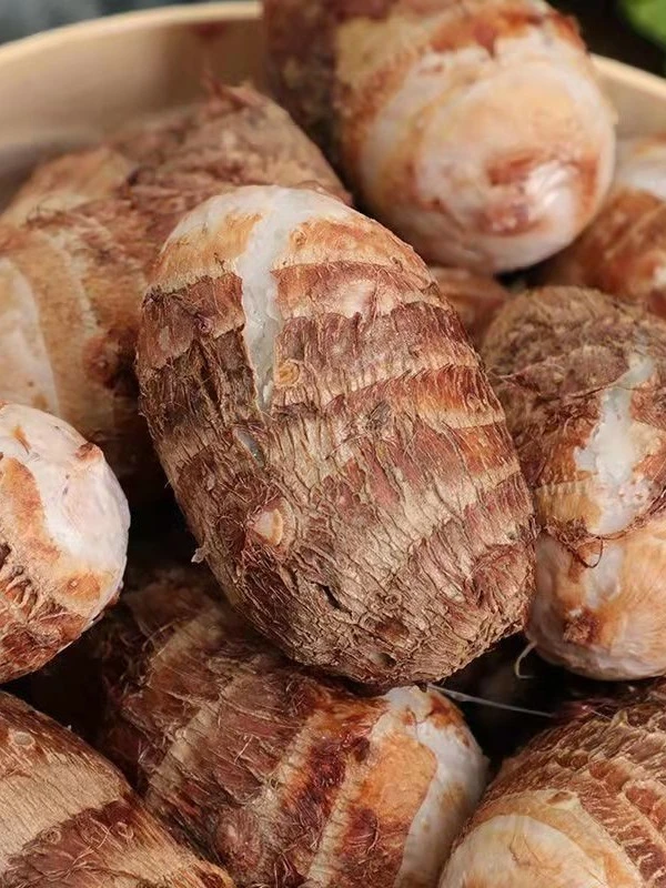 红芽香芋荔浦芋头非奶芋小现挖现发粉香糯甜巴马芋头仔