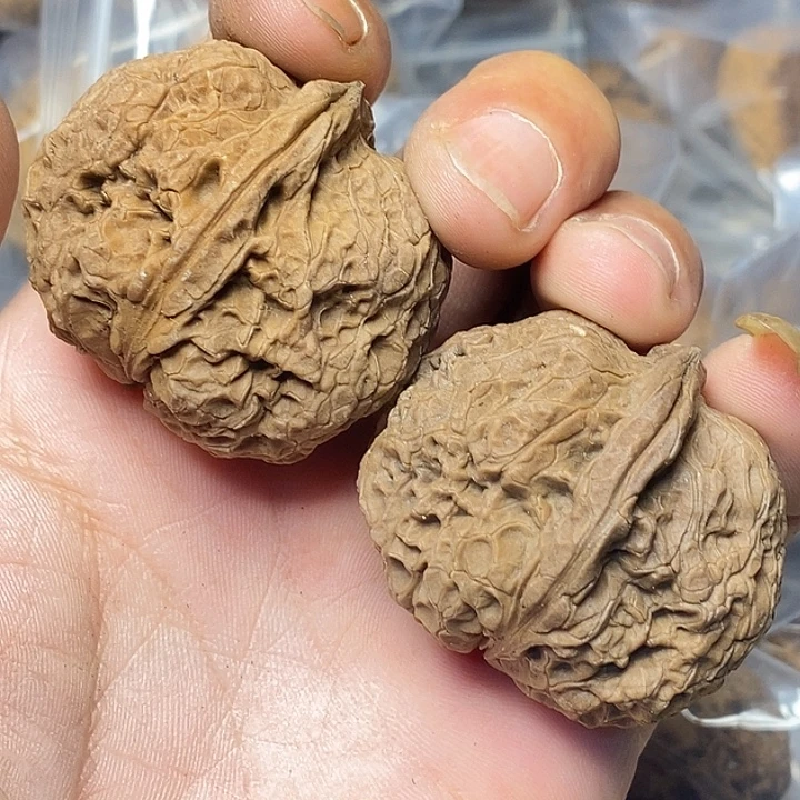 把件文玩核桃云南铁核桃87号44mm