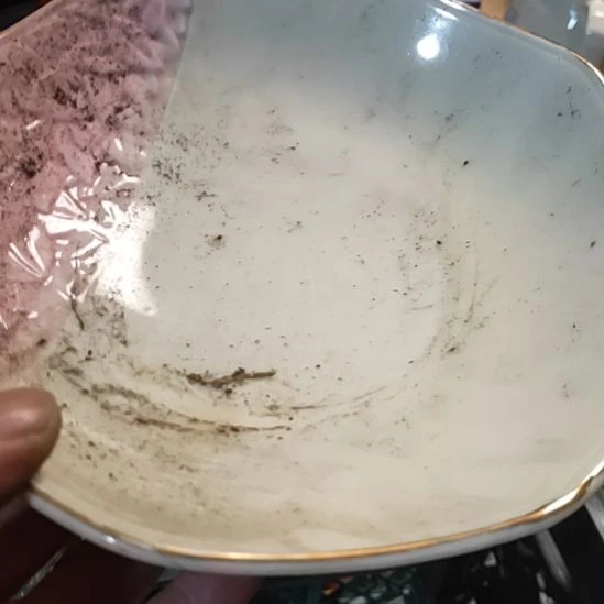 z***年茶盏瓷器活动的人了
