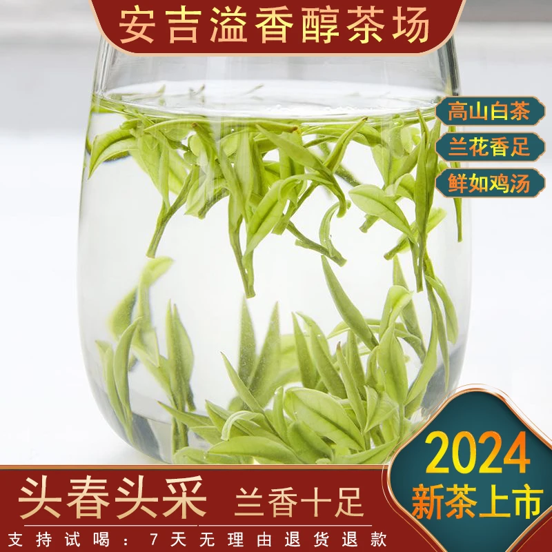 【特价限量款白茶】2024新茶 鲜香嫩甜 品质推荐