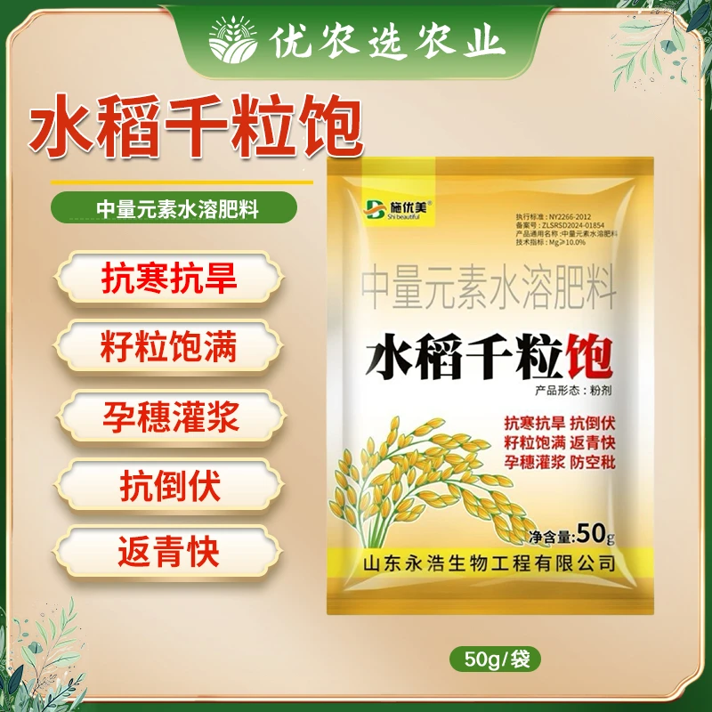水稻千粒饱专用膨大增产籽粒饱满高抗倒伏生根壮苗茎杆粗壮叶面肥
