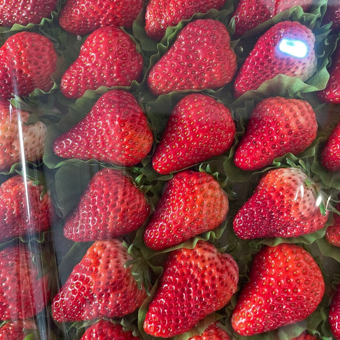 丹东99草莓4.5斤 【直播间专属 】