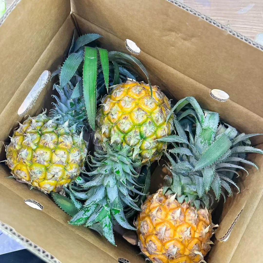 凤梨 3枚小果装 箱/毛重4斤左右