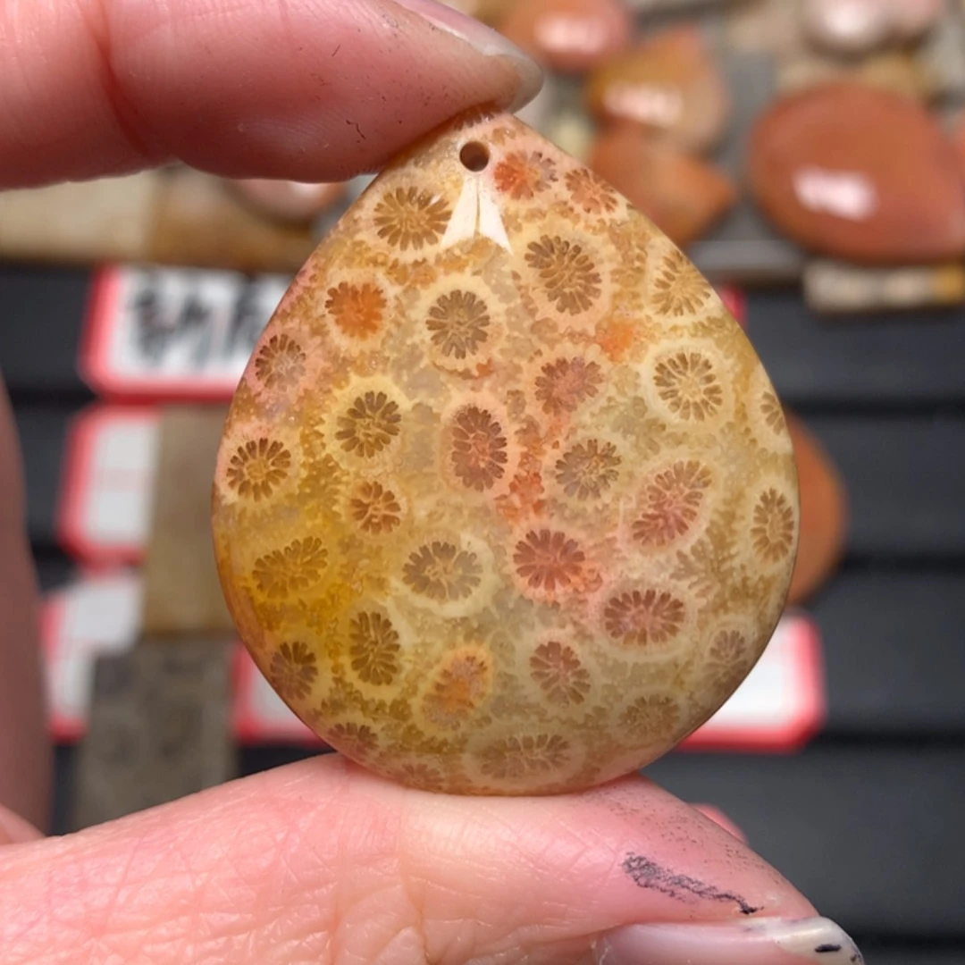 【闪购商品】硅化玉颈饰未镶嵌木**工