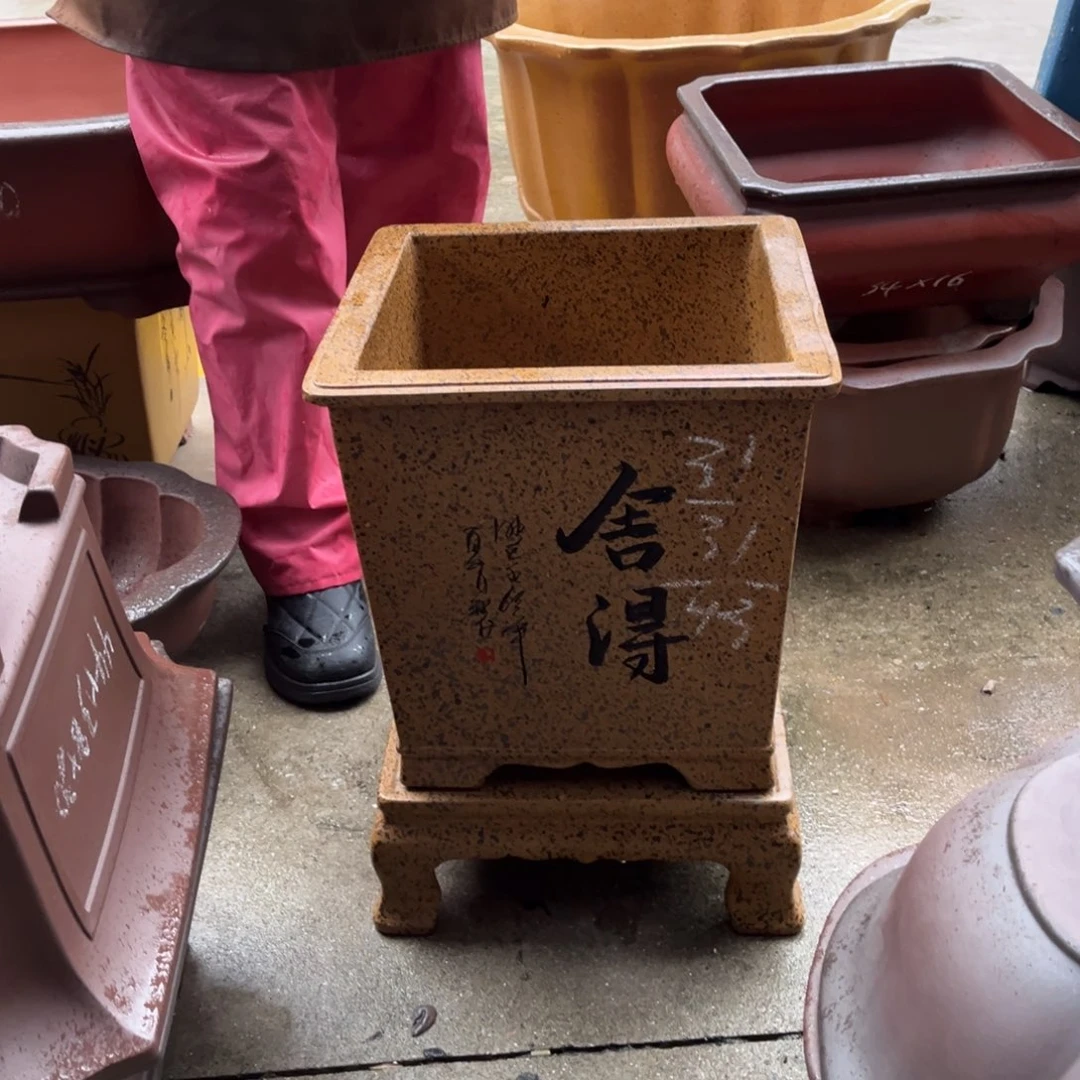 紫砂花盆盆景艺术