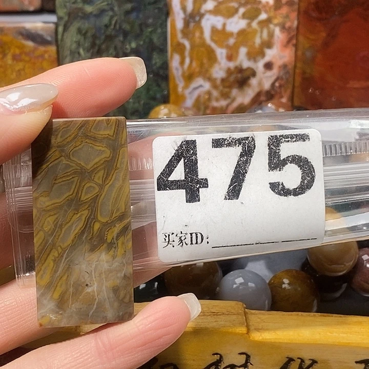 硅化玉未镶嵌天然北票树化玉吊坠