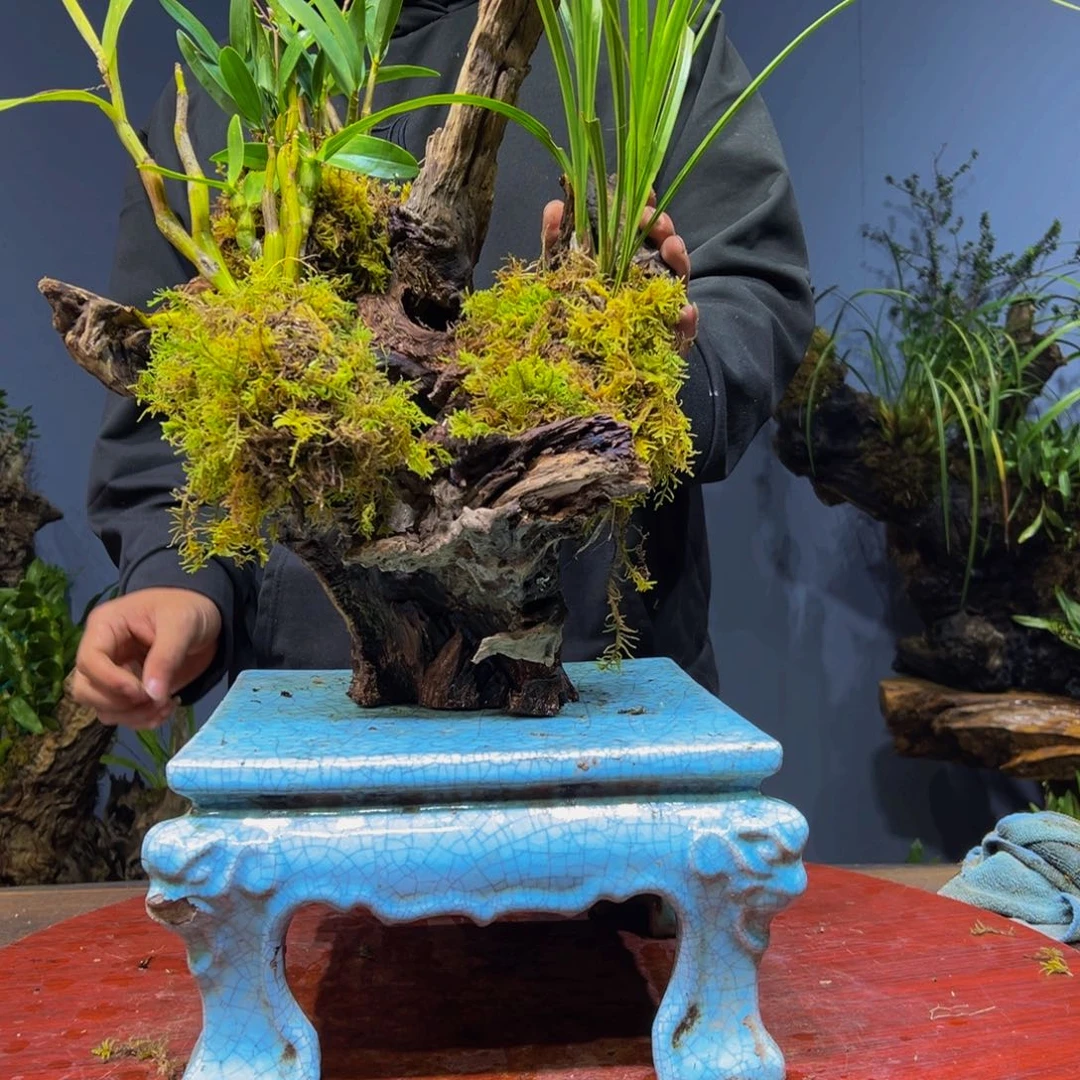 静***静完全开放11111111111111111