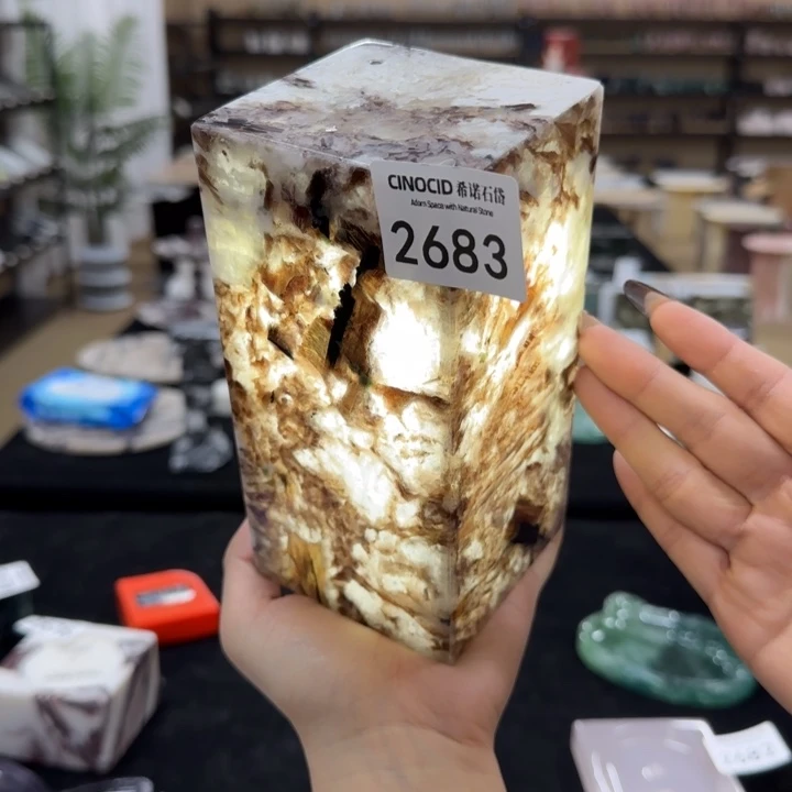 2683千山暮雪氛围灯