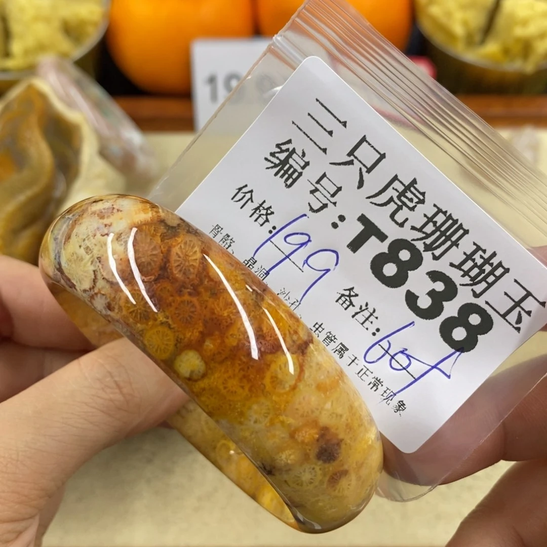硅化珊瑚（珊瑚玉）1未镶嵌?****