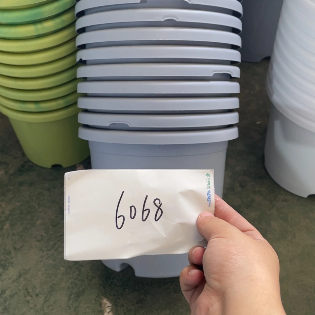 灰***雁编号是6068的编号