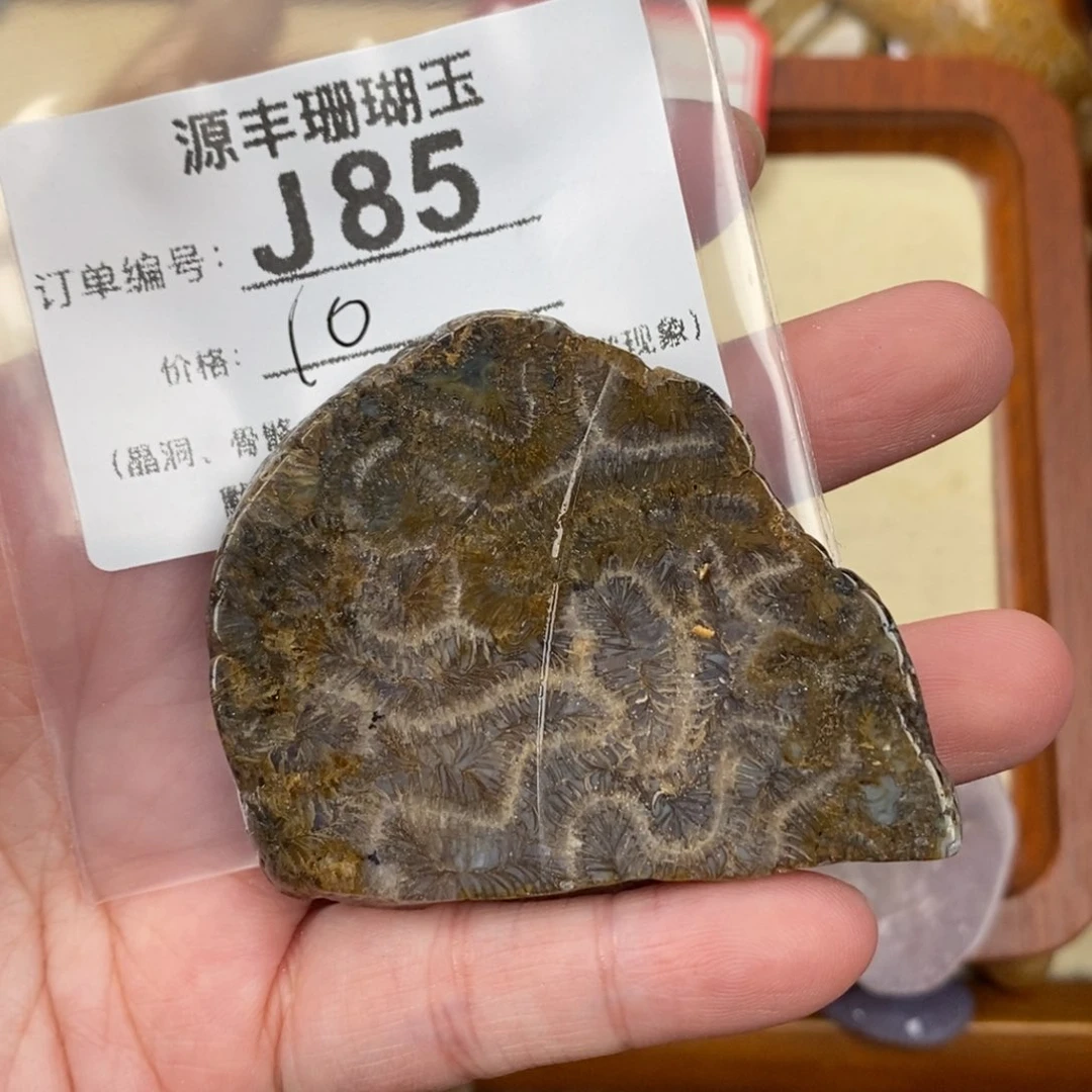 硅化玉颈饰未镶嵌先***名