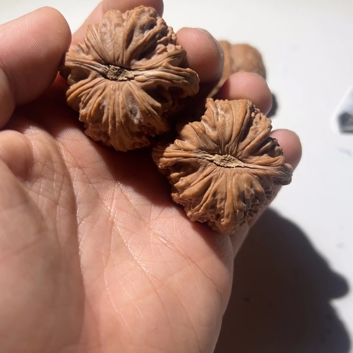 万***顺文玩核桃把件球白