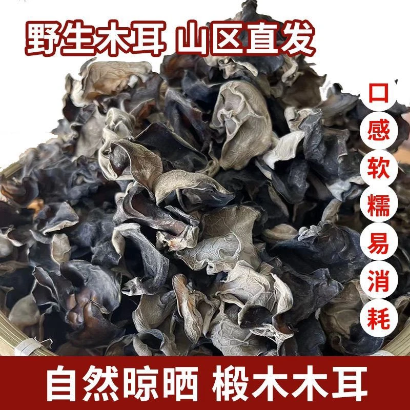 湘西大山野生黑木耳