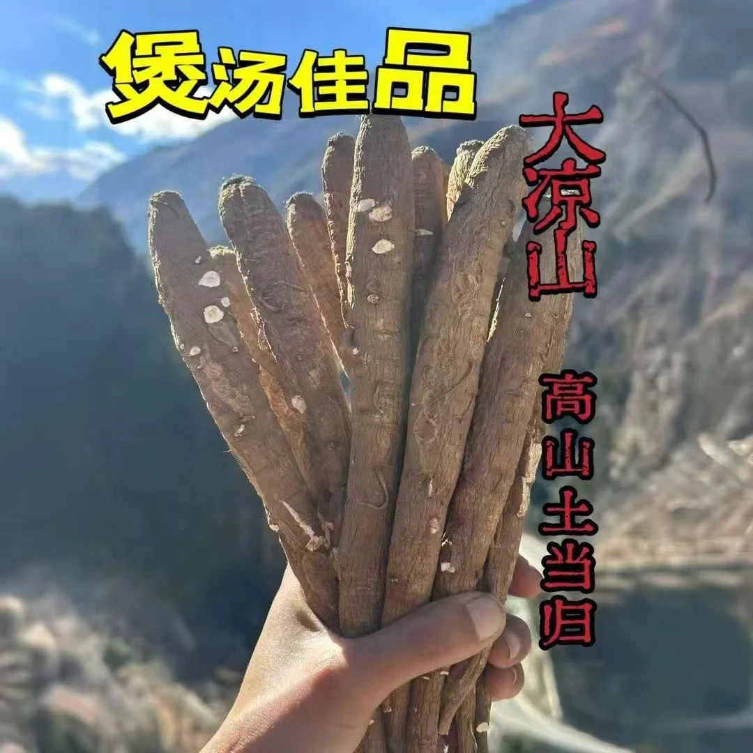 【干货】现收山货 大凉山高山土当归 凉山高原甜当归 煲汤煮水佳品