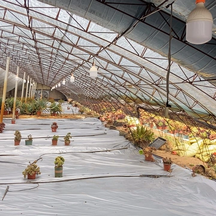 笑*米奇11111111111