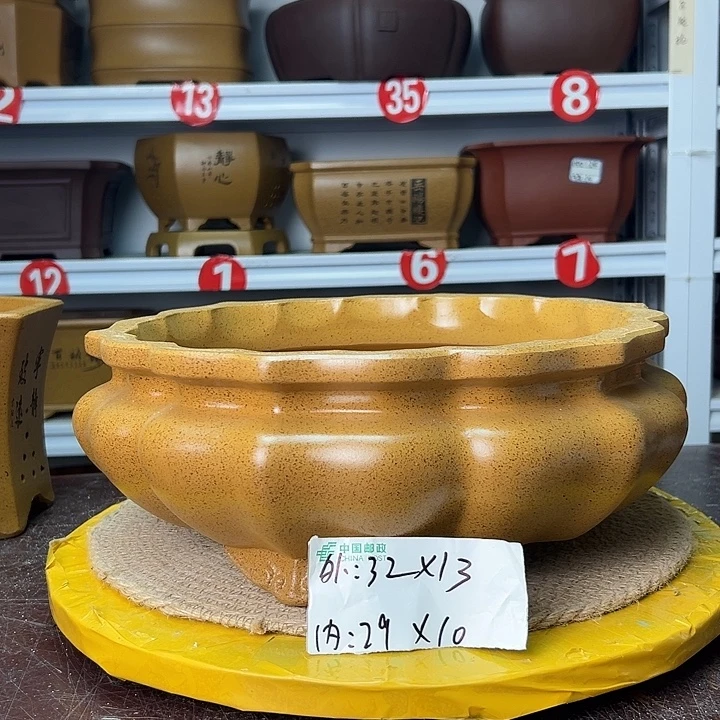 紫砂花盆蛇年大吉