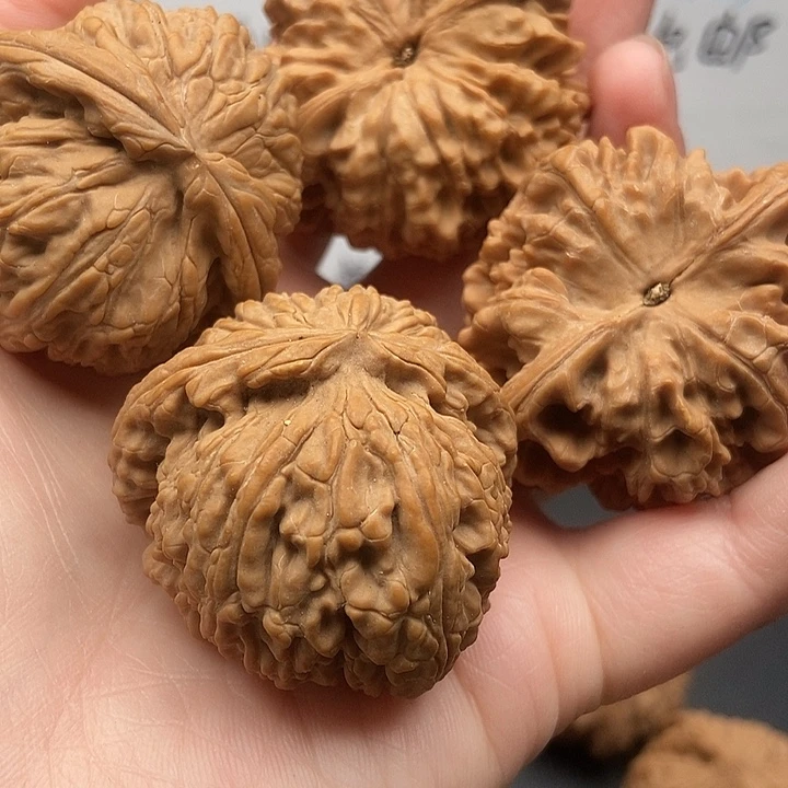 越***彦大大大大大大官帽