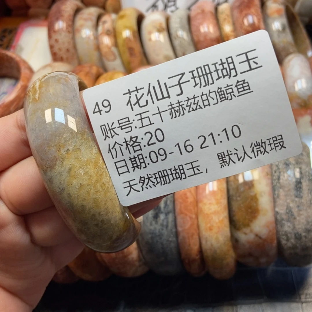 五***鱼未镶嵌硅化珊瑚（珊瑚玉）珠宝半成品49