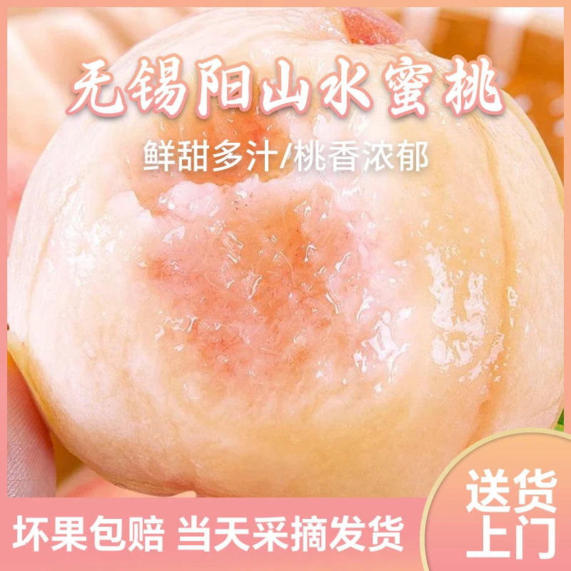 【4-5两】正宗无锡阳山水蜜桃8颗多汁新鲜现摘果园直发当季新鲜水果桃子江苏省