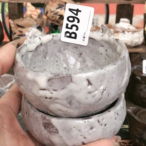 东**白木有一点点的小事就