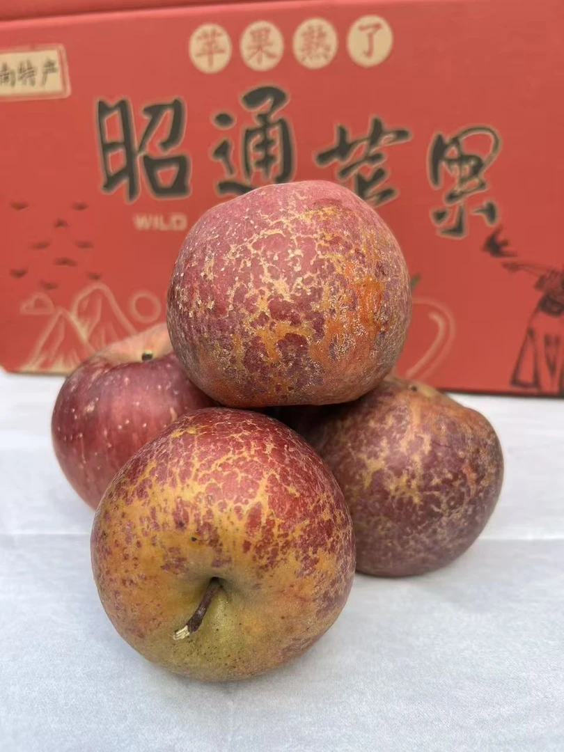 云南高山丑苹果云南昭通糖心脆甜观赛多汁现摘口感无酸