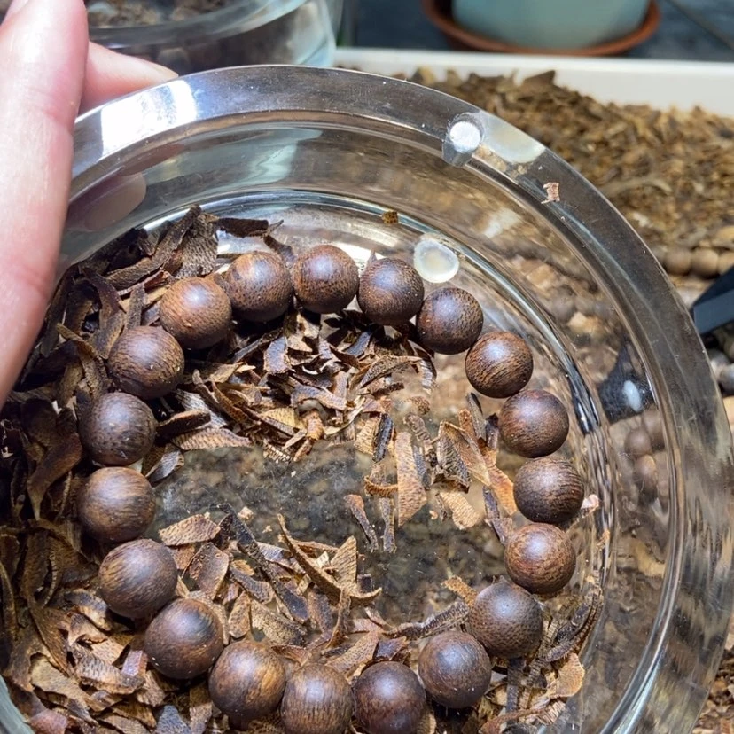 【闪购商品】沉香手串老*头棋楠沉香手串单圈
