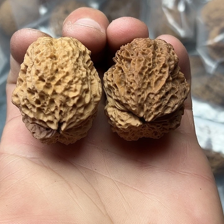 把件文玩核桃33号花彩珊瑚蟾40尺