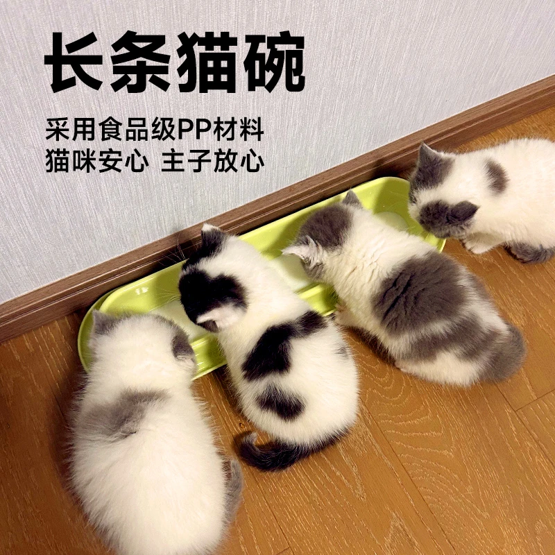 猫碗多猫专用成幼猫共用饭碗防打翻小奶猫喂奶共吃多猫家庭的猫碗