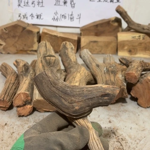 大果紫檀（缅甸花梨）木**弓