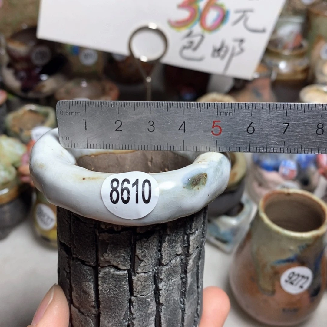 花盆拍3送一个小礼物